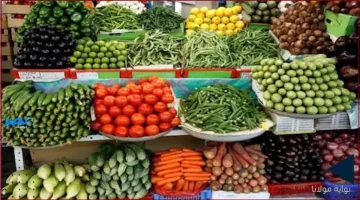 تراجع الأسعار.. سوق العبور يشهد انخفاضات جديدة في أسعار الفواكه والخضروات